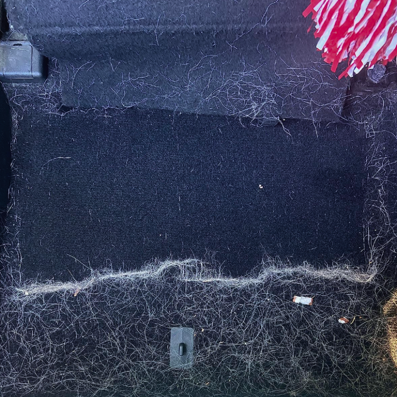 Éliminateur de poils d’animaux